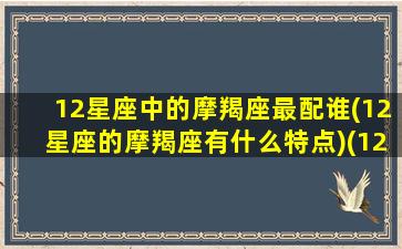 12星座中的摩羯座最配谁(12星座的摩羯座有什么特点)(12星座 摩羯)